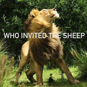 Meet your Posher, Yahnee